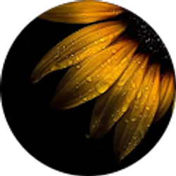 Profile photo of Jessica Cardoza