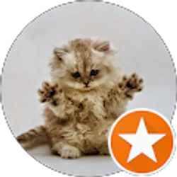 Profile photo of Angela Frank