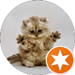 Profile photo of Angela Frank