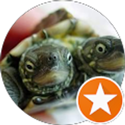 Profile photo of the yahwertle