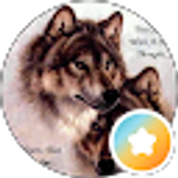 Profile photo of Tina Black