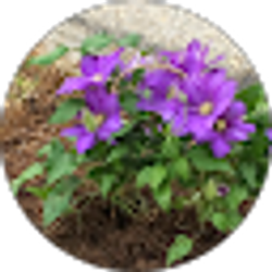 Profile photo of Kimberly Powell