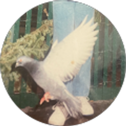 Profile photo of Rene Albarran