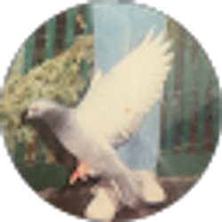 Profile photo of Rene Albarran