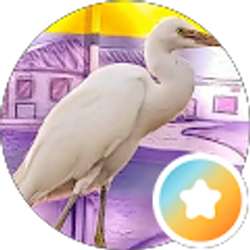 Profile photo of Eve FFA Private