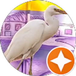 Profile photo of Eve FFA Private