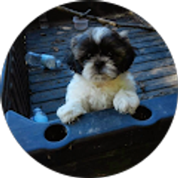 Profile photo of Tina Knapp