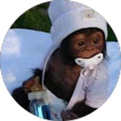 Profile photo of Kelvin Valdez