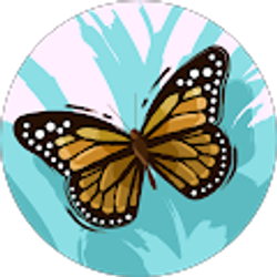 Profile photo of Shelby Beckenhauer