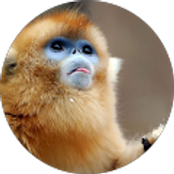 Profile photo of Carly Nelson