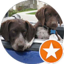 Profile photo of Randy Sandoval