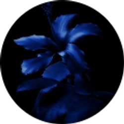 Profile photo of Brianna Perez