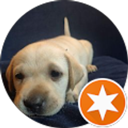 Profile photo of Paul Martin