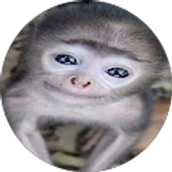 Profile photo of arth