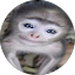 Profile photo of arth
