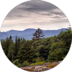 Profile photo of Michel Lavoie