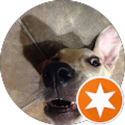 Profile photo of Willis Howard