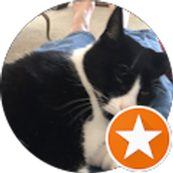 Profile photo of Susan Collier