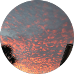 Profile photo of Luke Swearingen