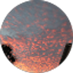 Profile photo of Luke Swearingen