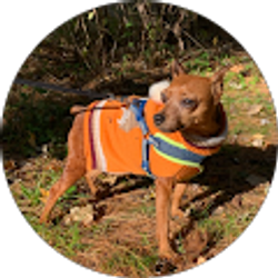 Profile photo of Jeannie