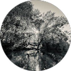 Profile photo of kris vadnais