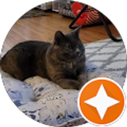 Profile photo of Brady Yang