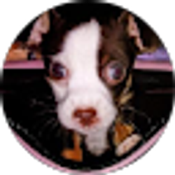 Profile photo of April Moser