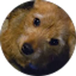 Profile photo of Tina Dozier