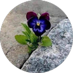 Profile photo of Cindy Igel