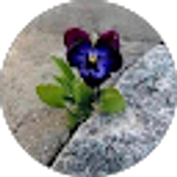 Profile photo of Cindy Igel