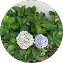 Profile photo of Gloria Alvarez