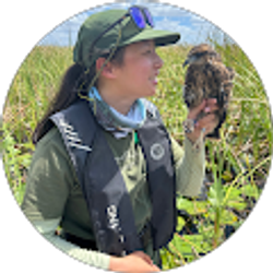 Profile photo of Allison Ogle