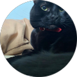 Profile photo of Steven Rivera