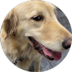 Profile photo of Adolfo Loredo