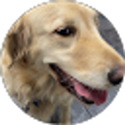 Profile photo of Adolfo Loredo