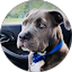 Profile photo of Angela