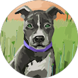 Profile photo of Foreversadie Krow