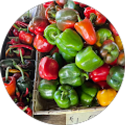 Profile photo of Misty Calhoun