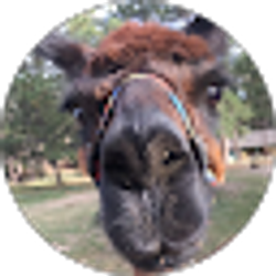 Profile photo of Carol Garrington