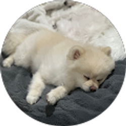 Profile photo of Jyu