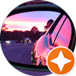 Profile photo of Shane