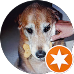 Profile photo of Mrs. K