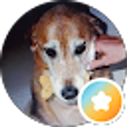 Profile photo of Mrs. K