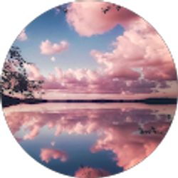 Profile photo of Avmily DIYS