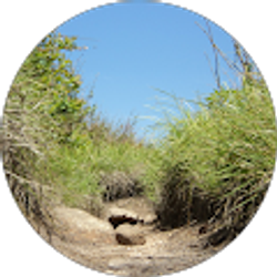 Profile photo of Josh Smith