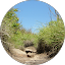 Profile photo of Josh Smith
