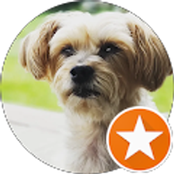 Profile photo of Emily S