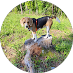 Profile photo of jack howley