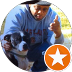 Profile photo of Joe Tingle